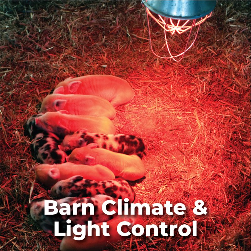 Barn Climate & Light Control