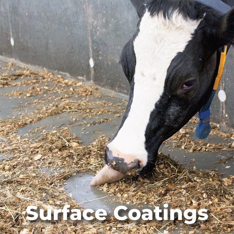 Surface Coatings