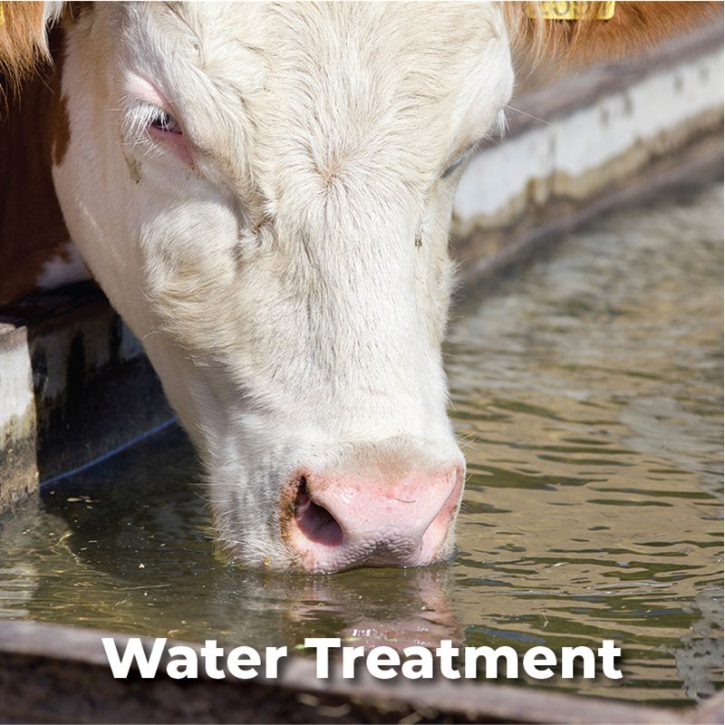 Water Treatment