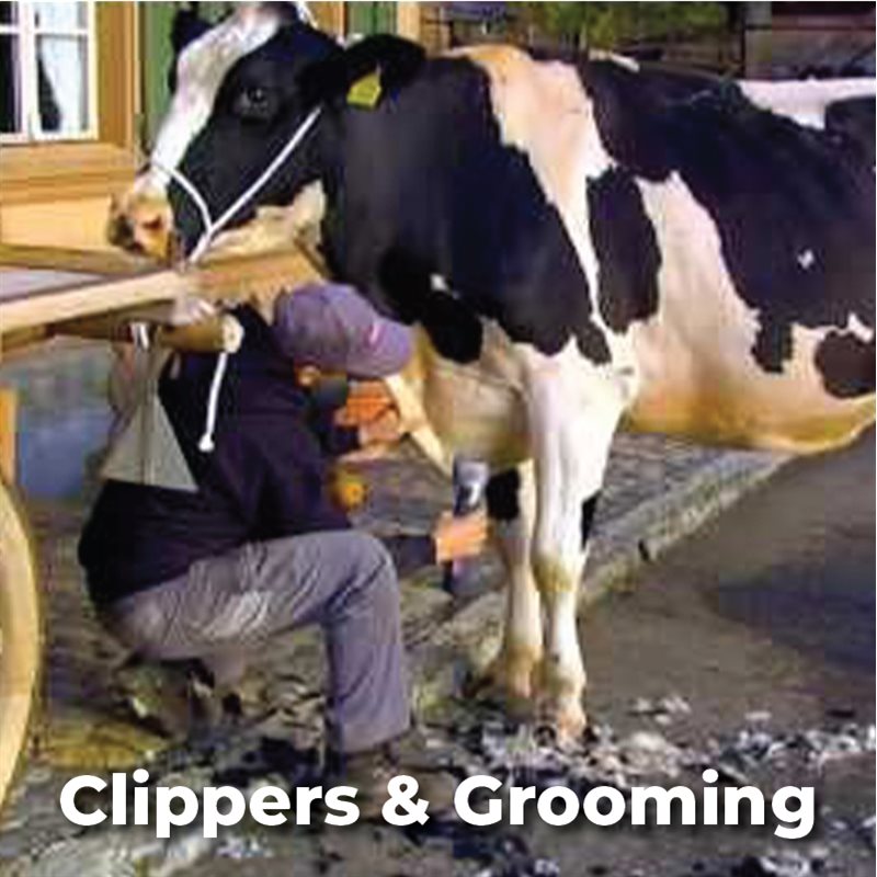 Clippers & Grooming