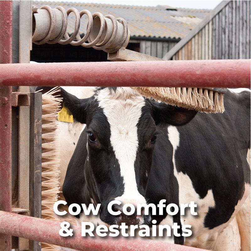 Cow Comfort & Restraints