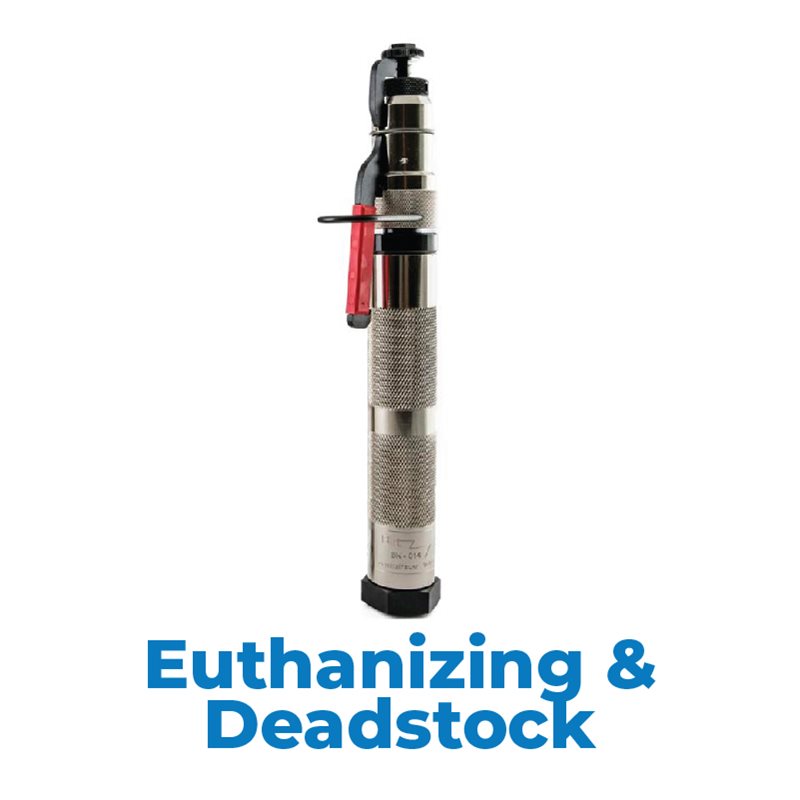 Euthanizing & Deadstock