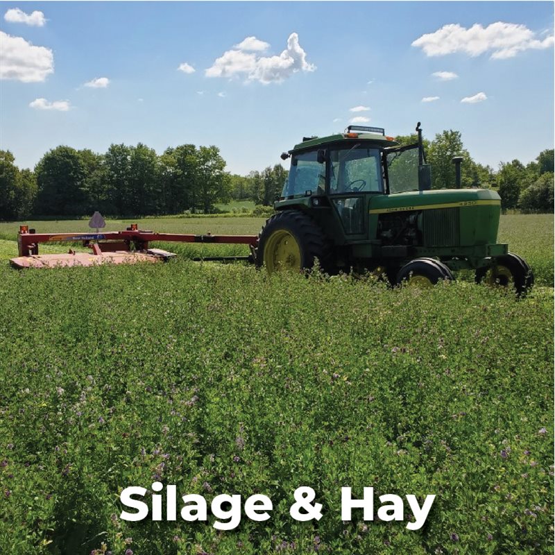 Silage & Hay