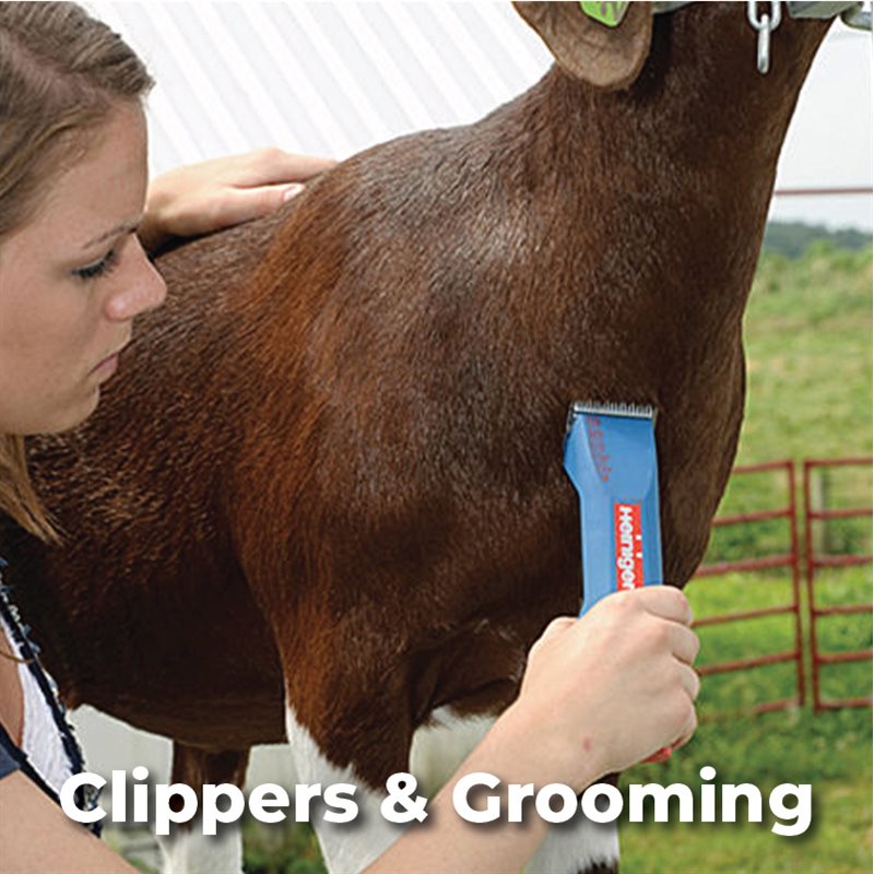 Clippers & Grooming