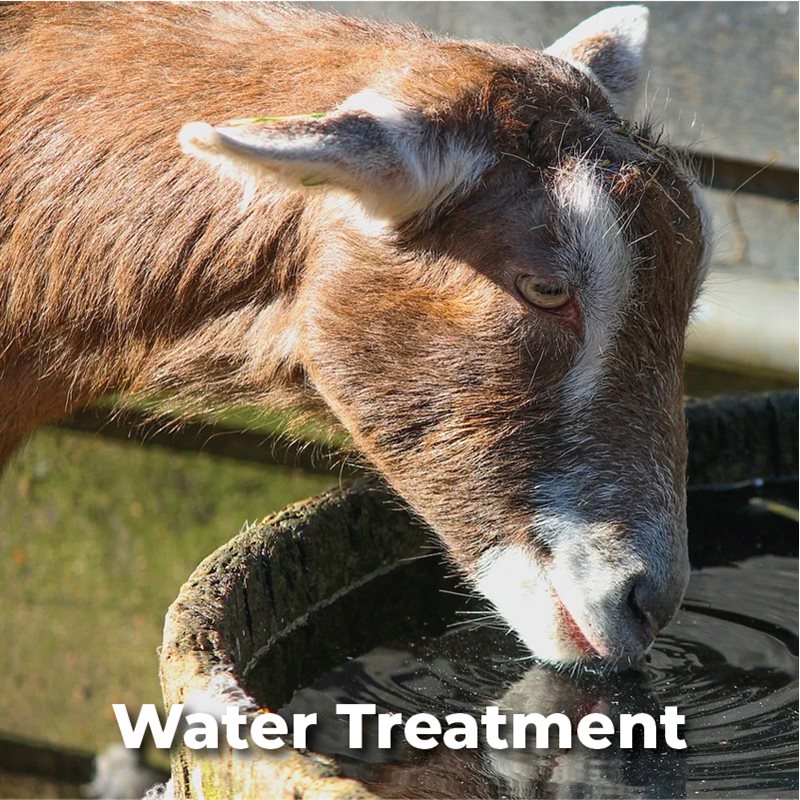 Water Treatment