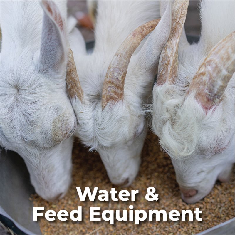 Water & Feed Equipment
