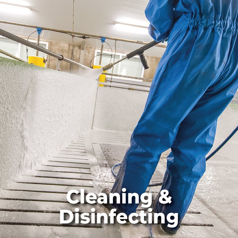 Cleaning & Disinfecting