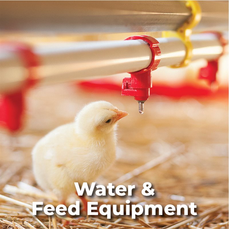 Water & Feed Equipment