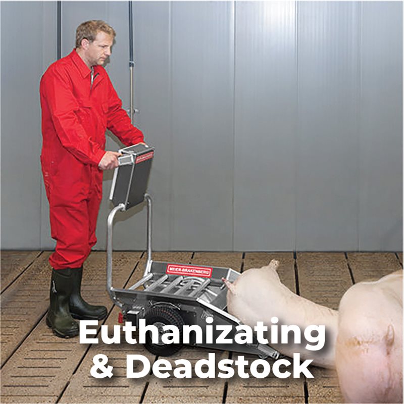 Euthanizing & Deadstock