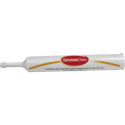 DAIRYMANS CHOICE (300 G) PRO-PASTE