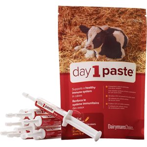 DAIRYMAN CHOICE DAY ONE 15ML - 10 / PKG