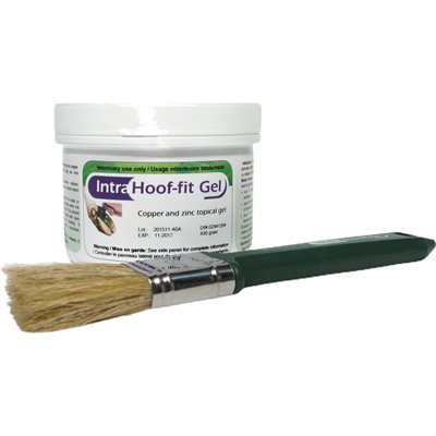 INTRA HOOF-FIT GEL 430G INTRA HOOF-FIT GEL 430G