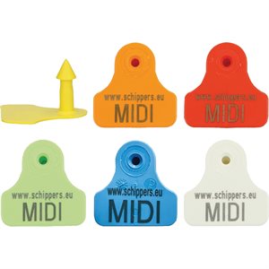 MS MIDI TAG MALE 50PK - CUSTOM #