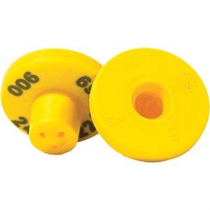 MS TAG ROUND FDX STF-YELCLPRPB1