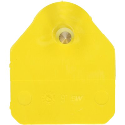 MS TAG STANDARD, MALE, YELLOW, BLANK, 100 / PKG