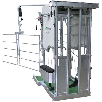 MS HOOF TRIMMING CHUTE ELECTRIC, MODEL D4-2