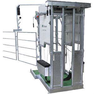MS HOOF TRIMMING CHUTE ELECTRIC, MODEL D4-2