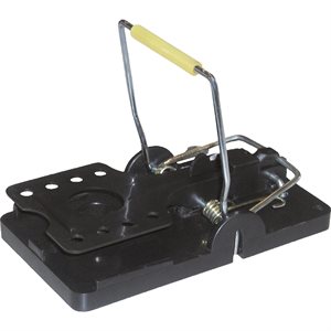 RAT TRAP SNAPPER