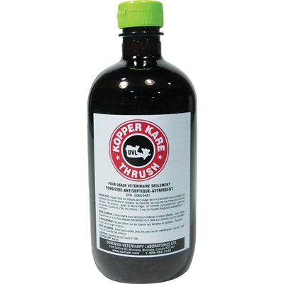 KOPPER KARE (475 ML)