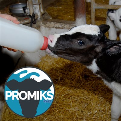 PROMIKS 10KG