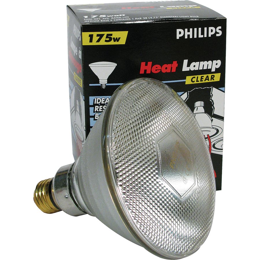 175W CLEAR PHILIPS HEAT BULB