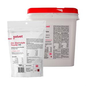 AVL Electolyte Powder HE