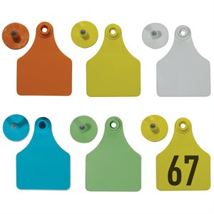 Allflex Large Tags