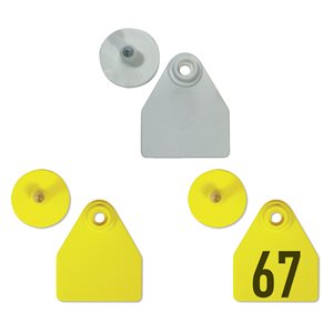 Allflex Medium Tags