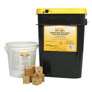 Boothill Mini Blocks