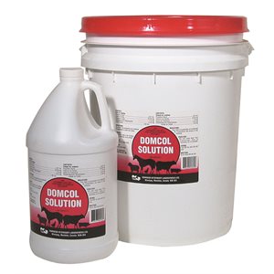 Domcol Solution Propylene Glycol