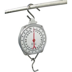 Hanging Scale