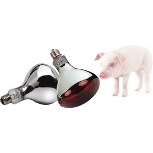 InterHeat Heat Bulbs, 175 Watt, Hard Glass