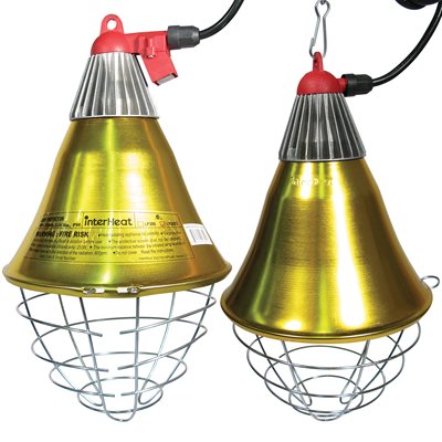 Brooder Heat Lamps & Heat Pads