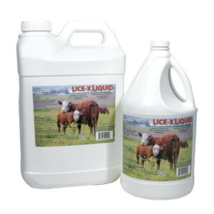 Lice X Liquid