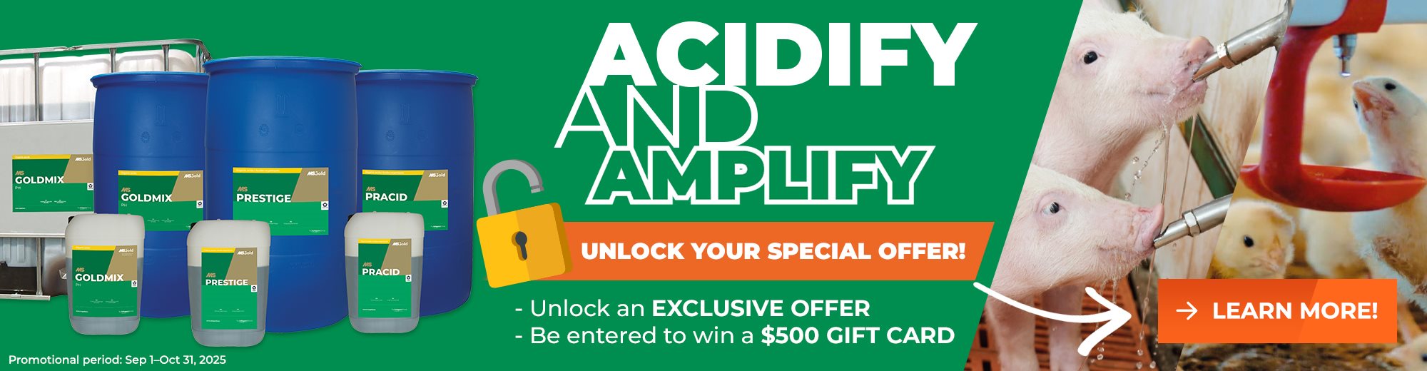 MS Schippers Organic Acids