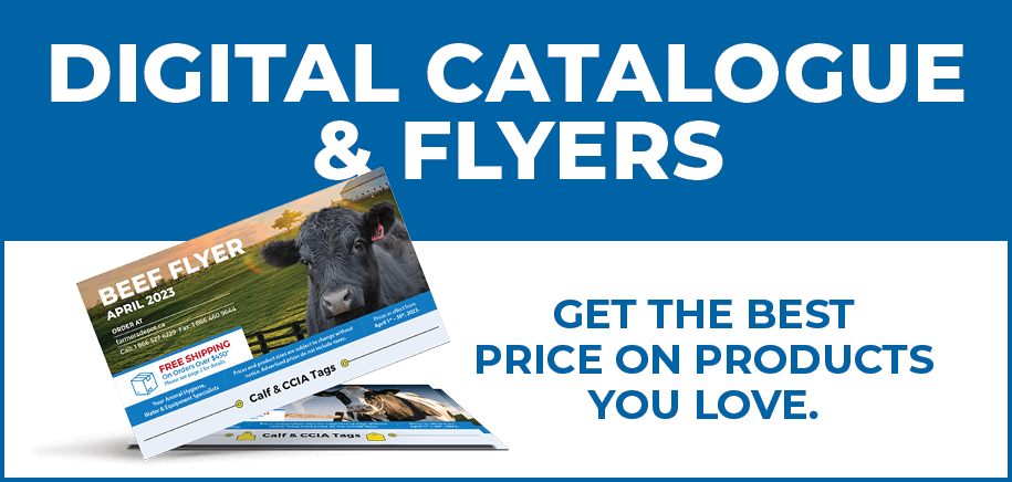 FDKEC_MonthlyFlyers_Homepage_promo_ads24V2