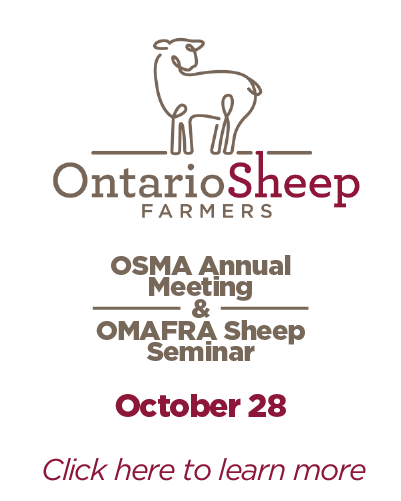 Ontario Sheep